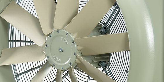 First Compact Fan